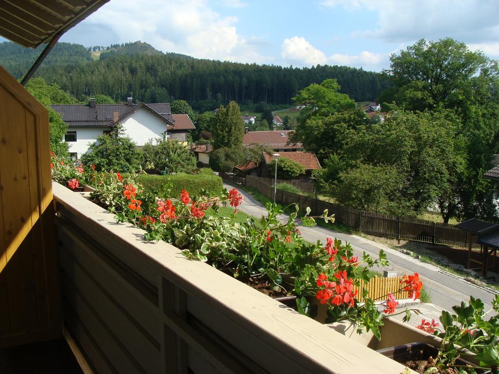 Drei Tannen Hotel Bodenmais Cameră foto