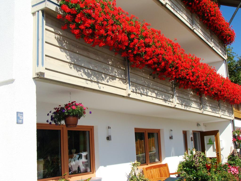 Drei Tannen Hotel Bodenmais Exterior foto