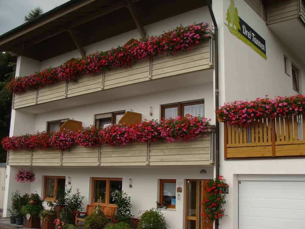 Drei Tannen Hotel Bodenmais Exterior foto